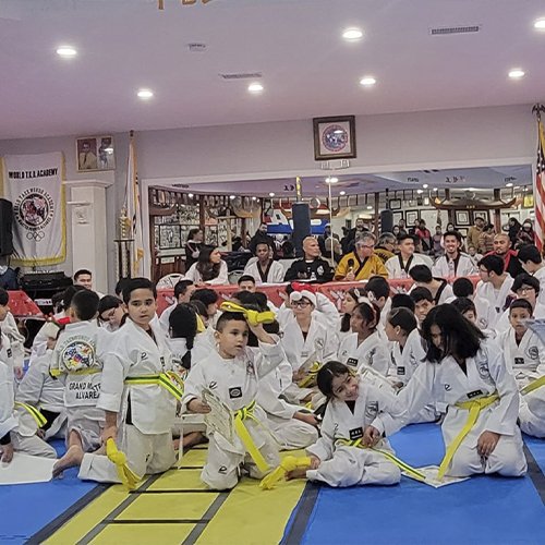 Image Kukkiwon Taekwondo Acedemy