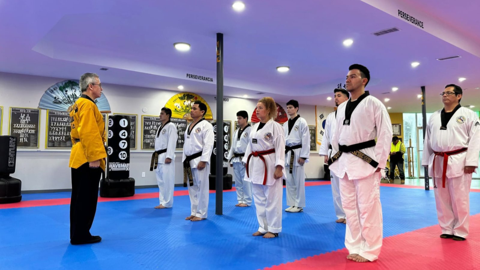 Image Kukkiwon Taekwondo Acedemy