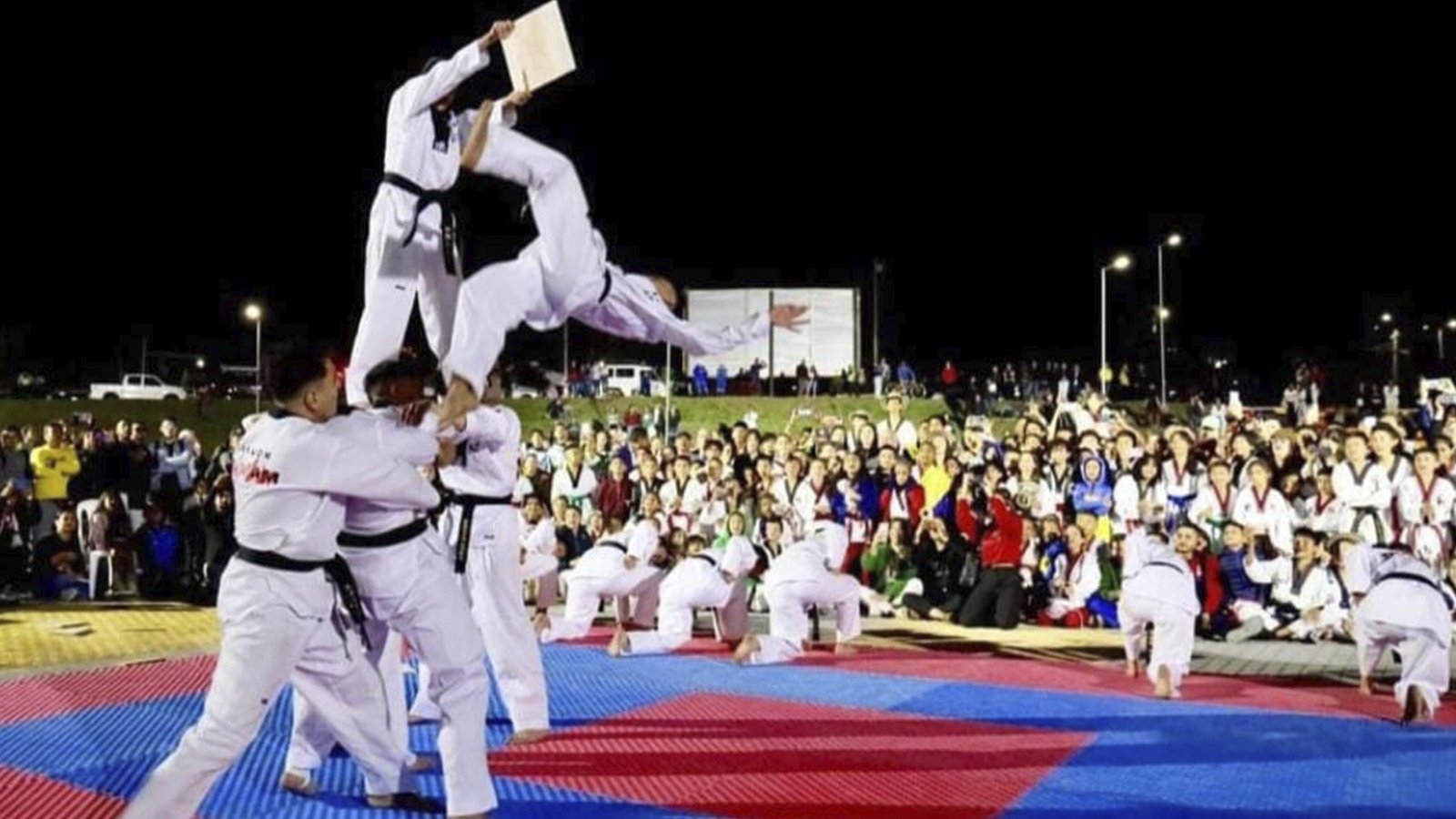 Image Kukkiwon Taekwondo Acedemy