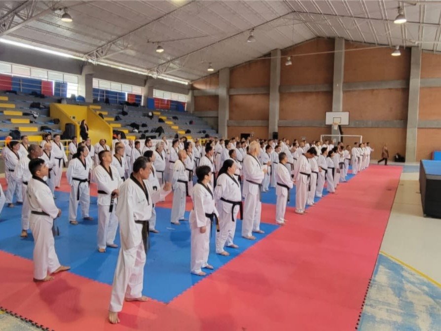 Kukkiwon Taekwondo Acedemy