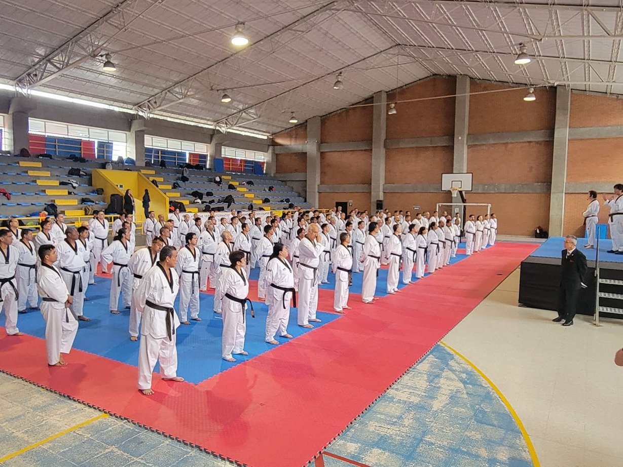 Kukkiwon Taekwondo Acedemy