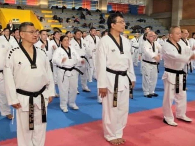 Kukkiwon Taekwondo Acedemy