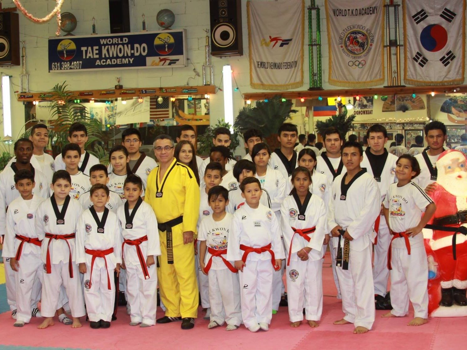 Kukkiwon Taekwondo Acedemy