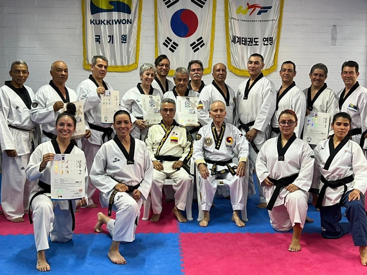 Kukkiwon Taekwondo Acedemy