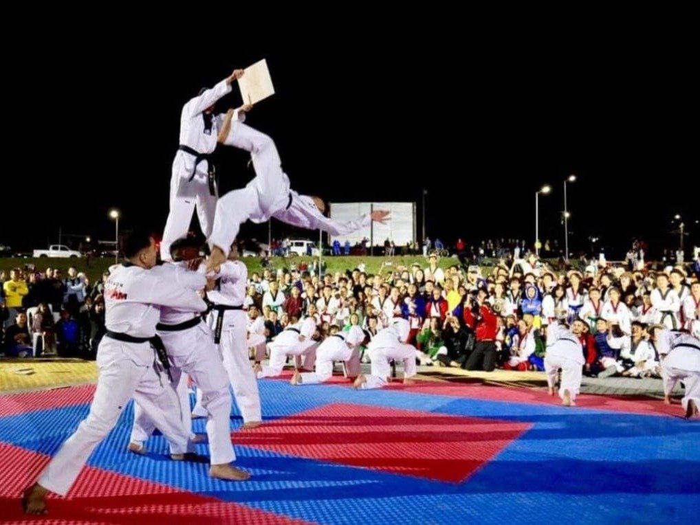 Kukkiwon Taekwondo Acedemy