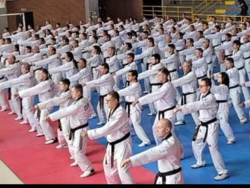 Kukkiwon Taekwondo Acedemy