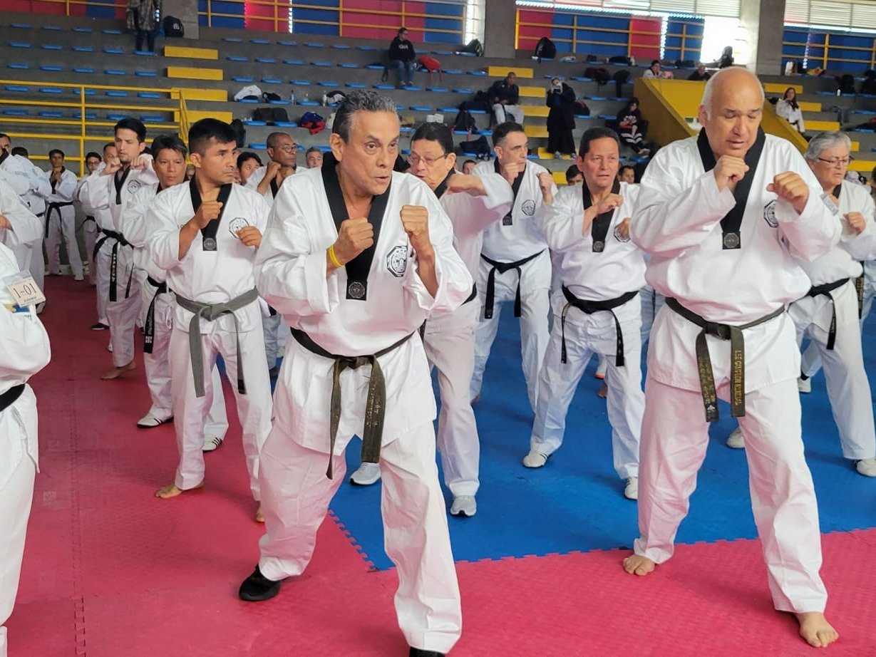 Kukkiwon Taekwondo Acedemy