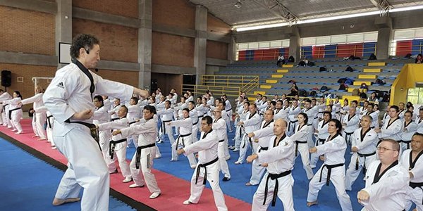 Image Kukkiwon Taekwondo Acedemy