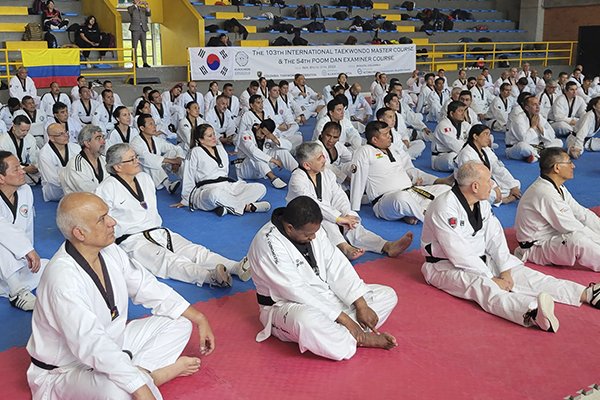 Image Kukkiwon Taekwondo Acedemy