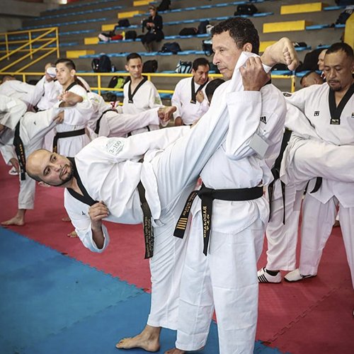 Image Kukkiwon Taekwondo Acedemy