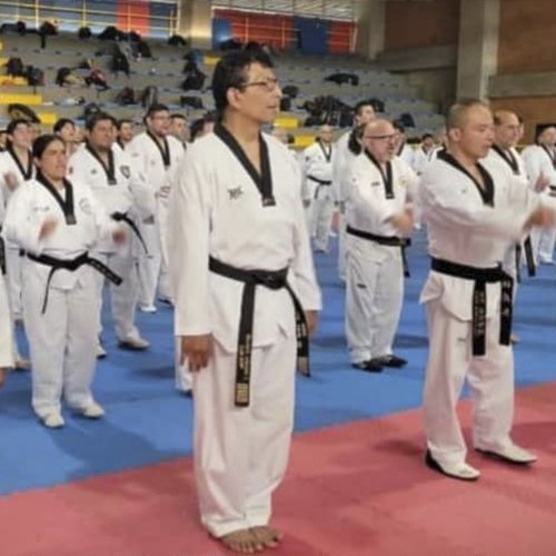 Image Kukkiwon Taekwondo Acedemy