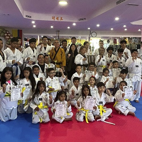 Image Kukkiwon Taekwondo Acedemy